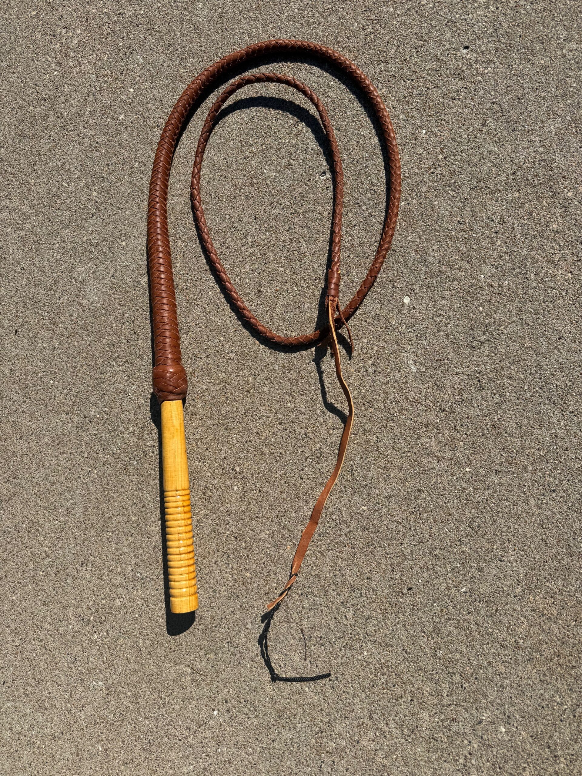 Bulwhip